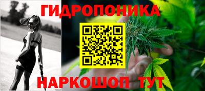 кокс Кимры