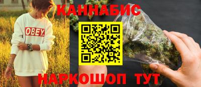 прущие крисы Кингисепп