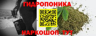 молекула духа Кинель