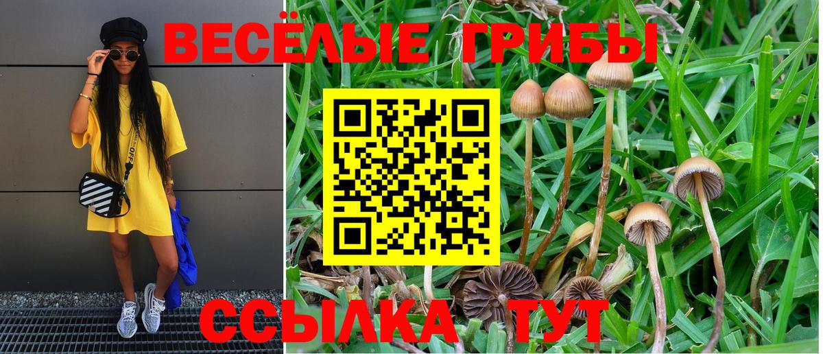 Коряжма  Галлюциногенные грибы Psilocybe  где купить   Вход с VPN 
